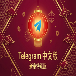 纸飞机中文版Premium会员功能详细介绍 - Telegram 官网